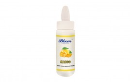 Bloom Mango Natural Identical Flavouring Substance  Plastic Bottle  500 millilitre